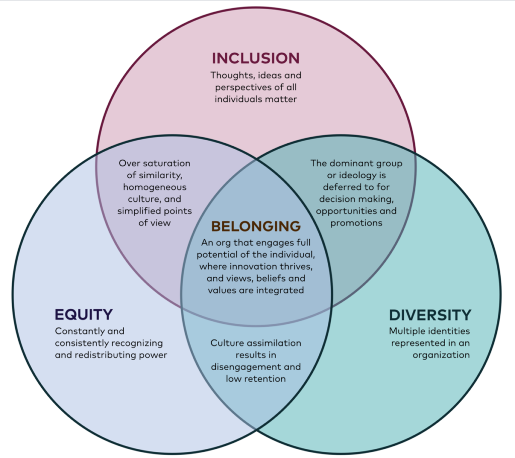 Diversity Equity Inclusion Diagram for Belonging