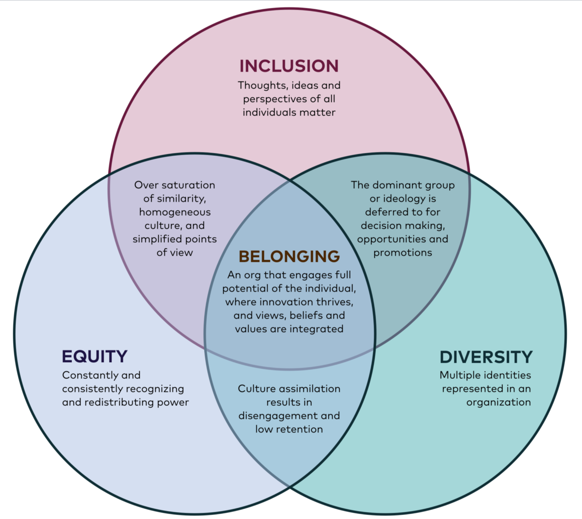 Inclusion Diversity Equity And Accountability IT IDEA 