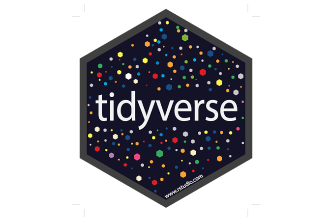 tidyverse Rstudio logo for IT Training courses