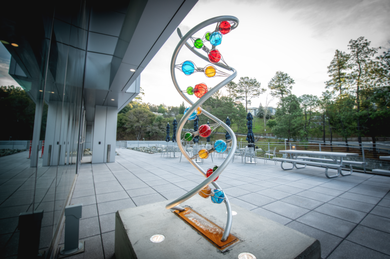 The Joint Genome Institute's (JGI) helix sculpture photographed in its new location outside the Integrated Genomics Building (IGB). (Credit: Thor Swift/Berkeley Lab)